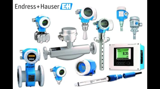 E+H 10p Promag W 400 Débitmètre Endress+Hauser Promass 80e/83e Débitmètre massique