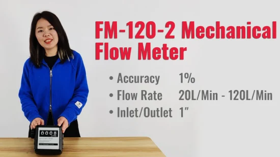 Débitmètre de carburant de consommation d'essence numérique de compteur diesel mécanique de turbine de 1 pouce